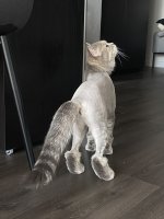 210711 01.jpg